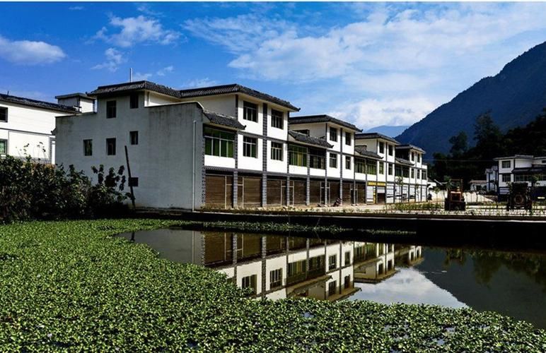 四川凉山彝族自治州宁南县新增核酸阳性10例，均在陕西省咸阳市秦都区的简单介绍