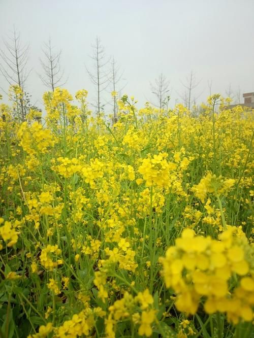 山东省临沂市郯城县疫情足不出户最新消息(山东省郯城县疫情防控文件)