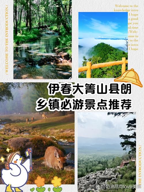 黑龙江伊春大箐山县8月17日无新增重症(伊春大青山县疫情)