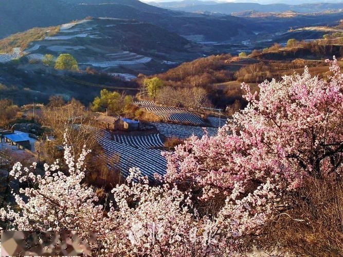 山西省临汾市蒲县首例无症状感染者来源公布(临汾 蒲县)