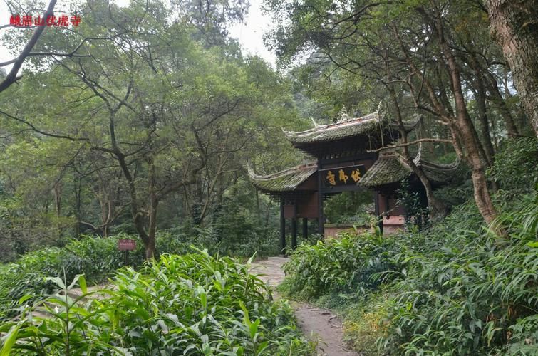峨眉山新增10例境外输入，涉及华南热作学院_峨眉山热不热
