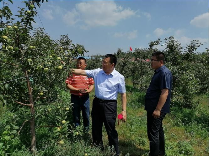 【辽宁阜新阜新蒙古族自治县疫情解封最新消息,阜新市封城了吗】