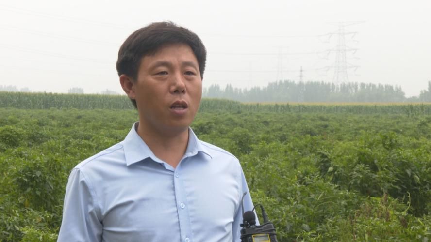 专家:清丰县每年或现多个感染高峰(清丰县今天3)