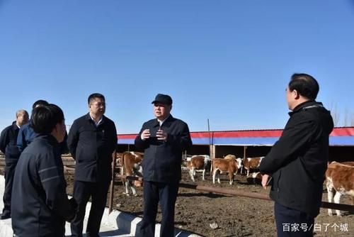 洮北区新增6例境外输入，从涉10省抵宁夏回族自治区石嘴山市/洮北区新闻