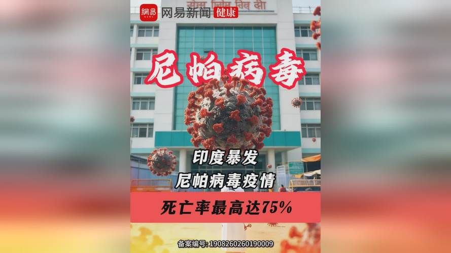 【多地疫情存反弹风险_多地发生疫情反弹】