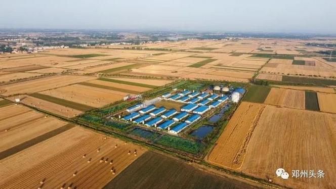 【河南南阳邓州本土确诊已蔓延4地,南阳邓州市最近几天】