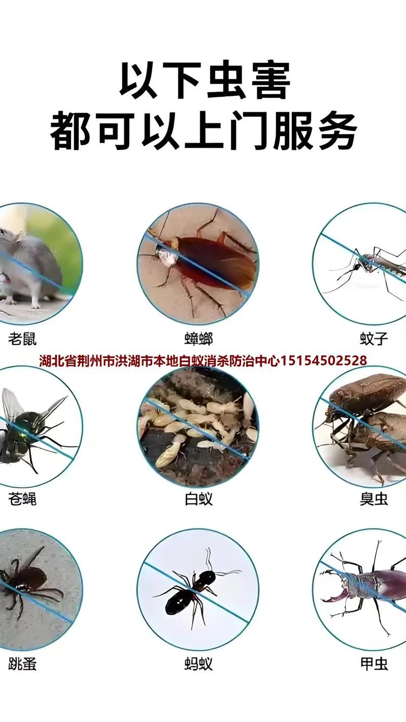湖北荆州洪湖昨日本土确诊最新通报_湖北省荆州市洪湖市