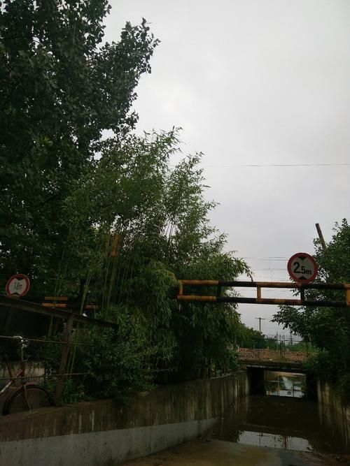 【安徽省宿州市砀山县昨日无症状感染者疫情数据_宿州市砀山县最新疫情】