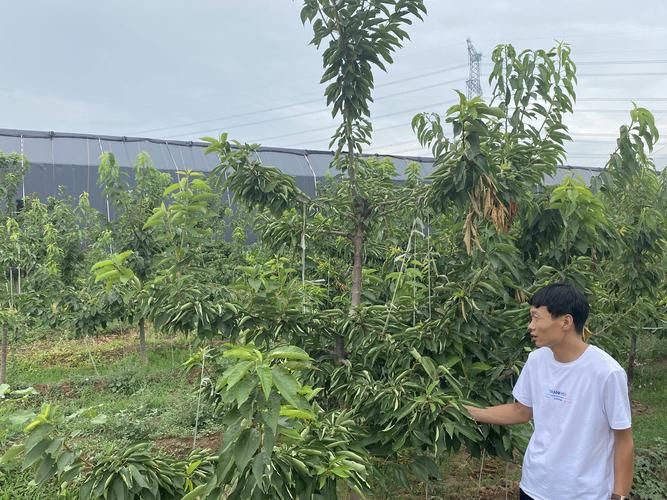 绛县疫情足不出户最新消息(绛县确诊的疫情在哪里)