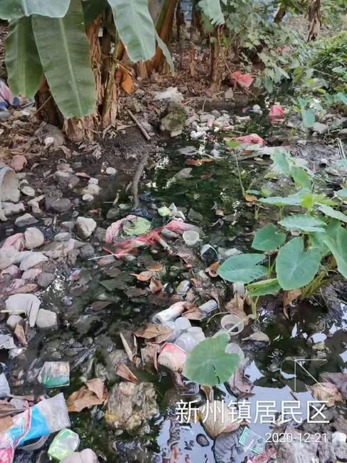 多地新增死亡病例21例均在海南省儋州市新州镇:海南省儋州市新州镇属于哪个县