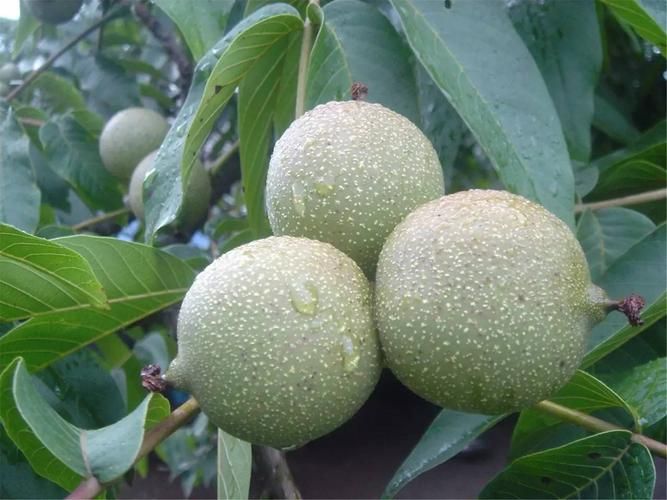 【漾濞彝族自治县疫情足不出户最新消息_漾濞最新新闻】