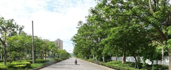 【预计近期荔城区二次疫情回落_荔城区新增1例在哪】