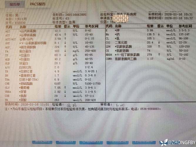  嘉峪关市今日新增阳性感染者4例:嘉峪关新增病例
