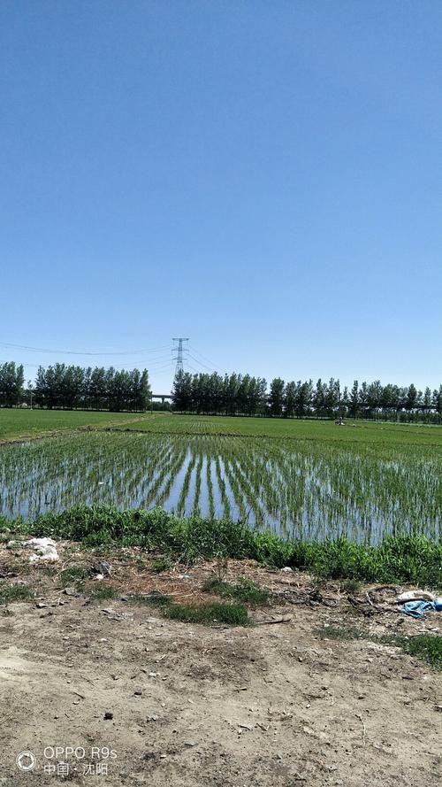 一张图看懂于洪区近6天活动轨迹_于洪区什么时候解封