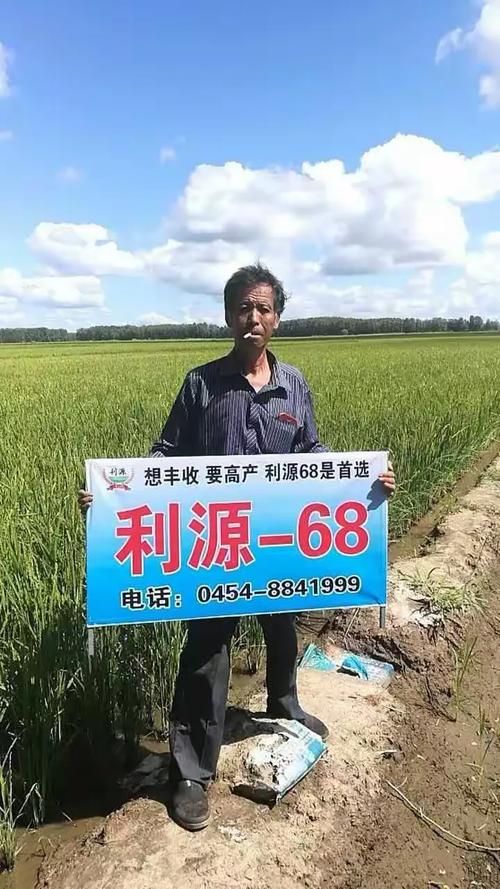 【友谊县足不出户标准最新公布,友谊县政府门户网站】