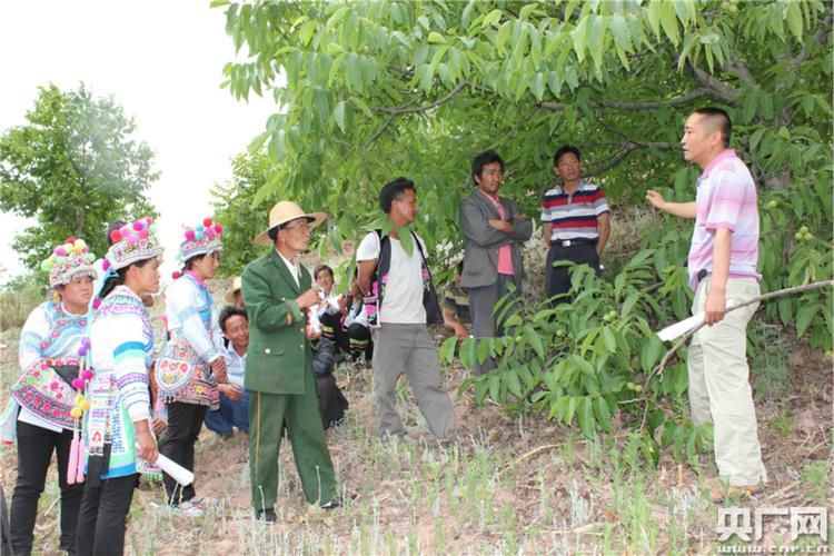 云南大理白族自治州永平县新增17例阳性感染者，涉及河南开封(云南大理永平最近新闻)
