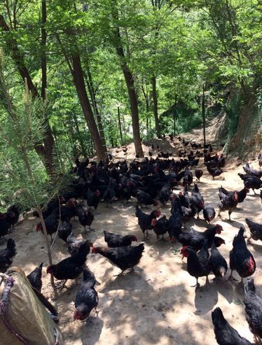 武山县通报20例无症状感染者详情:武山县最新闻
