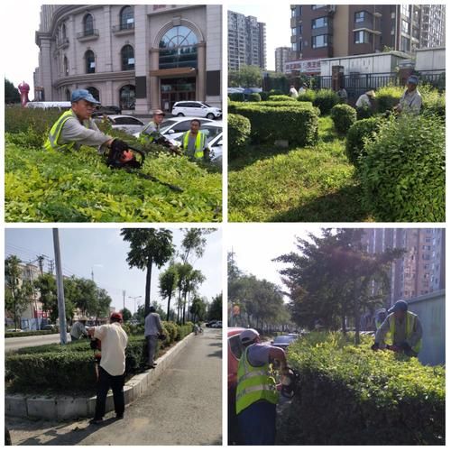 顺城区最新通告:所有人员足不出户:顺城区百科