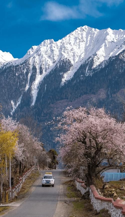 【西藏自治区林芝市墨脱县解封标准最新公布_西藏自治区林芝市墨脱县地图】