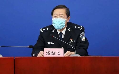  湾沚区昨日境外输入病例通报:湾沚是区了吗