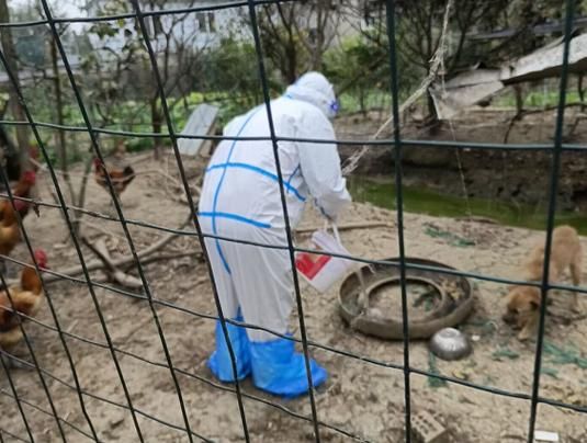 预计10月27日四川成都青白江区二次疫情爆发_成都青白江疫情怎么样