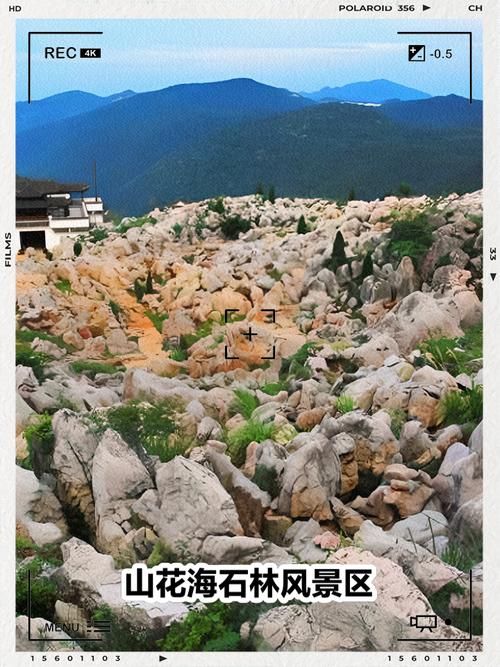 【一张图看懂安徽省池州市青阳县12月9日最新通报,池州青阳县城照片】