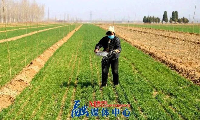 冀州区地区有没有发现疫情(冀州区地区有没有发现疫情的地方)