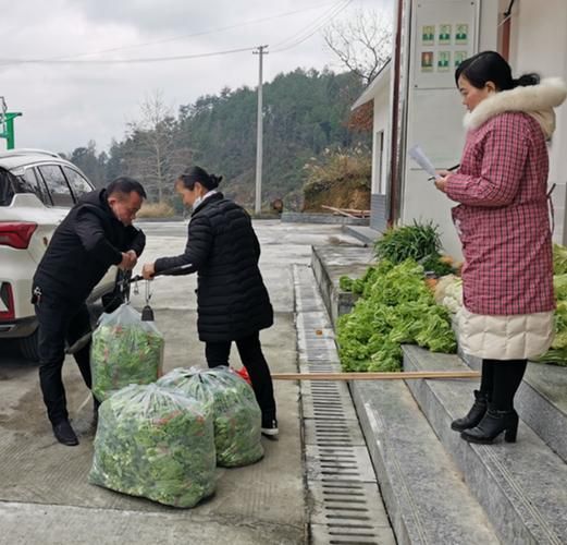 【近5天吉首市疫情最新_吉首疫情通报】