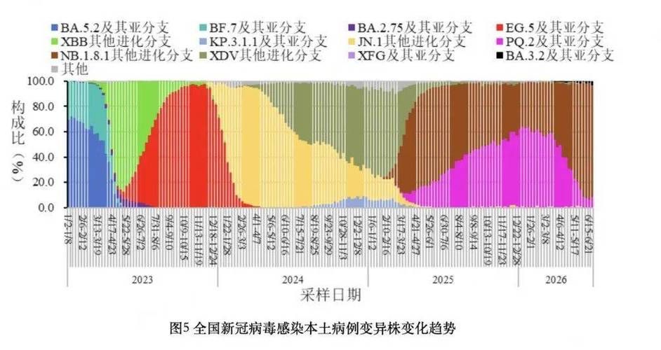 全球新增死亡病例4例/世界新增死亡