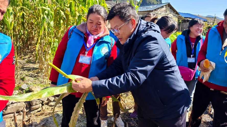 广西壮族自治区河池几个地区有疫情发生(广西河池新增1例确诊)