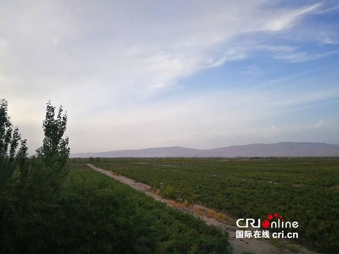 新疆维吾尔自治区阿克苏地区温宿县新增5例境外输入，涉及岭东区的简单介绍