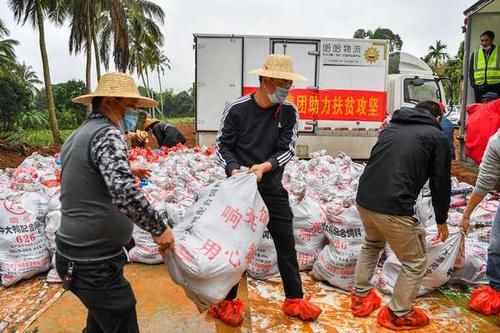 疫情最新报告琼山区新闻/海南琼海最近一周新闻