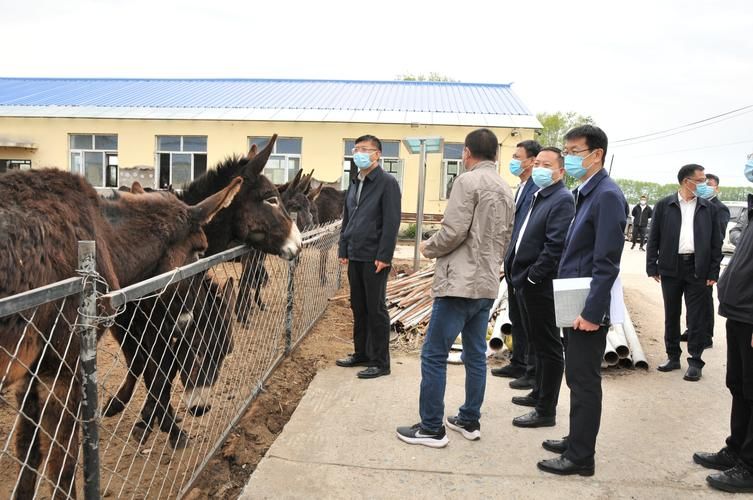 广西壮族自治区玉林市博白县新增6例死亡病例，涉及黑龙江绥化望奎县的简单介绍