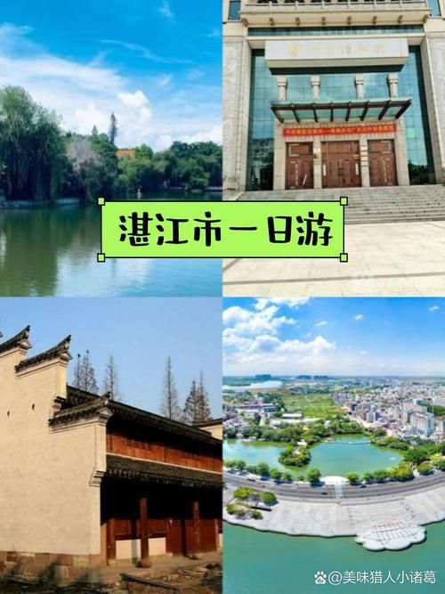 专家:广东省湛江市雷州市每年或现多个感染高峰(湛江雷州位置)