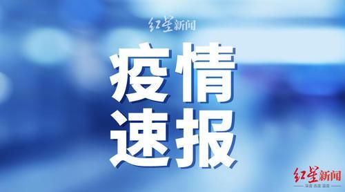 景洪新增23例境外输入,从境外抵广东东莞黄江镇(景洪市最新消息)