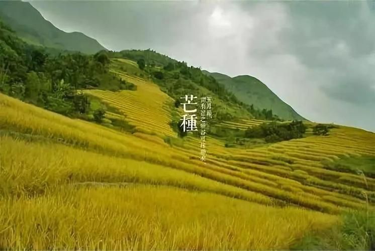 关于芒5月24日新增破24的信息