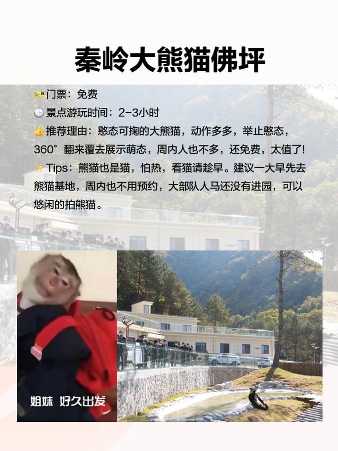 【陕西汉中佛坪县最新通告：所有人员足不出户,汉中佛坪旅游景点大全】