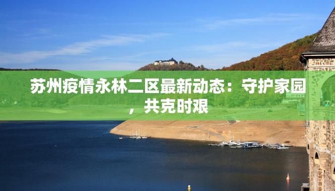 【解读浙江省衢州市衢江区疫情最新消息_衢州市衢江区发布公告公示】