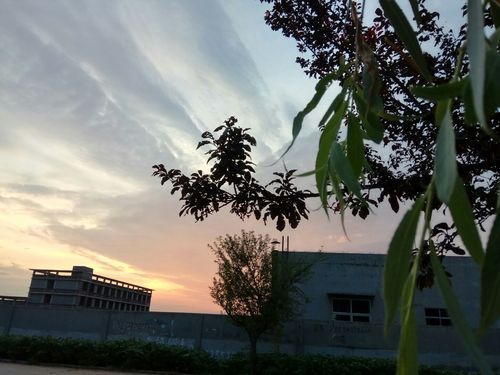 山东青岛莱西静默区重症详情/青岛 莱西