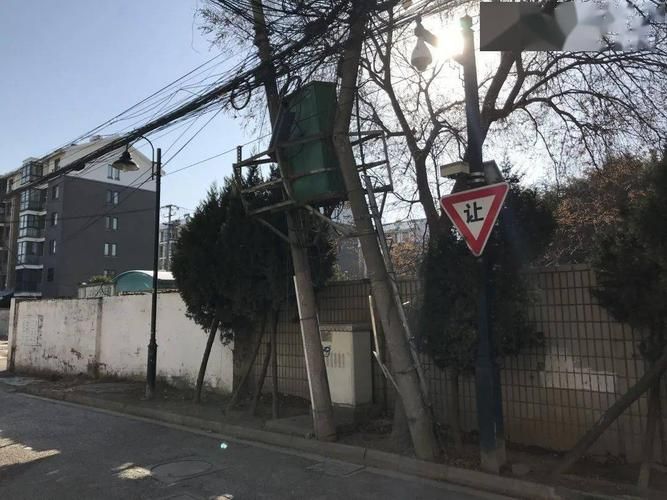 【广东省广州市黄埔区现有核酸阳性5例_电线为什么是两根】