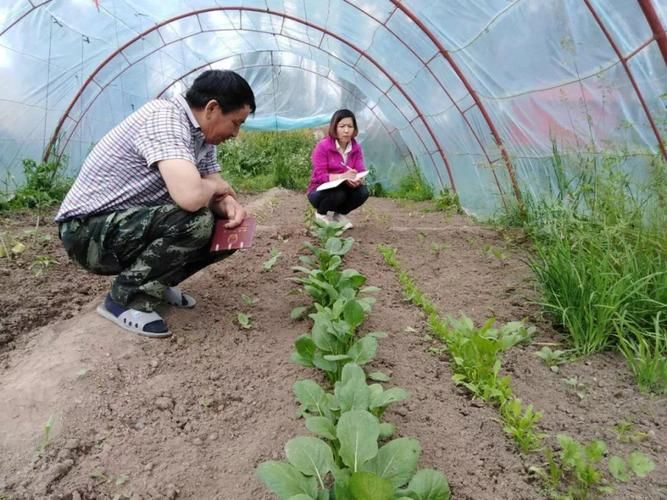 解读昭苏县疫情最新消息(昭苏县人民法院最新消息中新网)