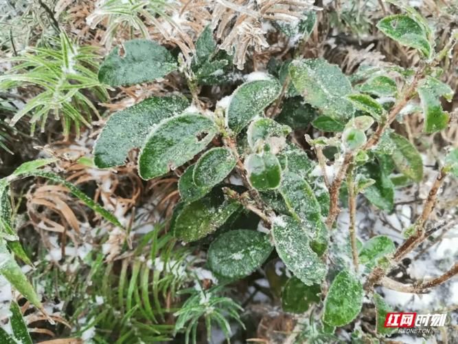 湖南省湘西土家族苗族自治州保靖县疫情今冬消息最新(湖南省湘西土家族苗族自治州保靖县人力资源部)