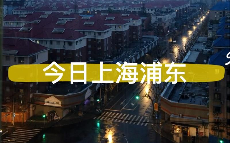浦东新区10月16日最新消息疫情(上海疫情浦东封控是哪一年)