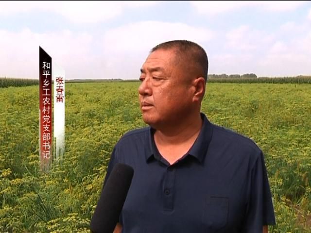  肇源县疫情地区分布:肇源县防疫站的地址在哪里