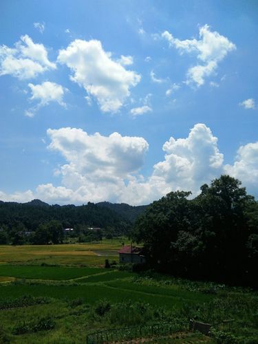 江西省吉安市泰和县封城标准最新公布/江西省吉安市泰和县初中考试试卷2026年6月份的